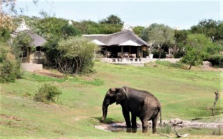Amakhala Safari Lodge [320x200]